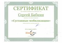 Сертификат сотрудника Бабкин С.А.