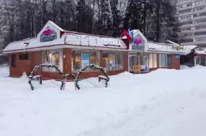 Фотография ВижуВсё 2